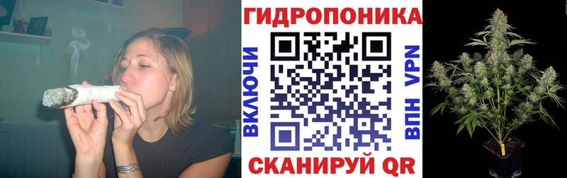 Купить  Судогда  Бошки марихуана конопля 